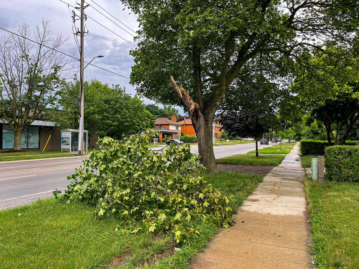 Priyankmistri's tweet photo. @RobinatLFPress #ONStorm #ldnont poor tree branch right across my place. 😔 https://t.co/AMiCtCMnEX