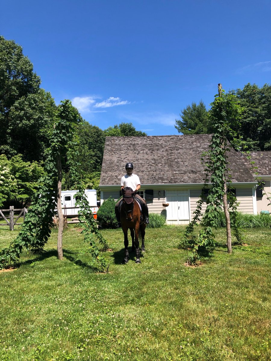 OttoBerkes's tweet photo. A year ago, I was able to keep riding my amazing horse Hado through the lockdown by boarding him at the barn next door. I never imagined I'd be riding him around in my own back yard. https://t.co/urHsUJO6Kc