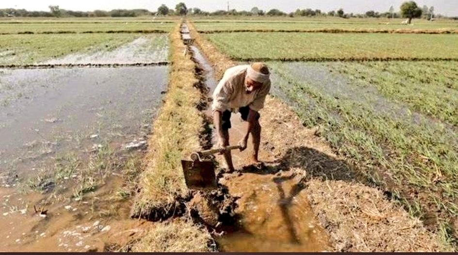RT @NandkishorRAGA: #If you ate today, thank a farmer. 
No Farmer
No life
#BJPAttackedFarmers
 https://t.co/kBQWY8oIiB
#ThankYouDoctors