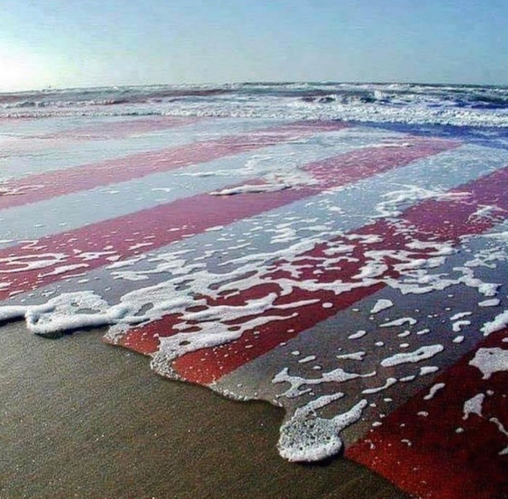 Seaforde1 tweet media