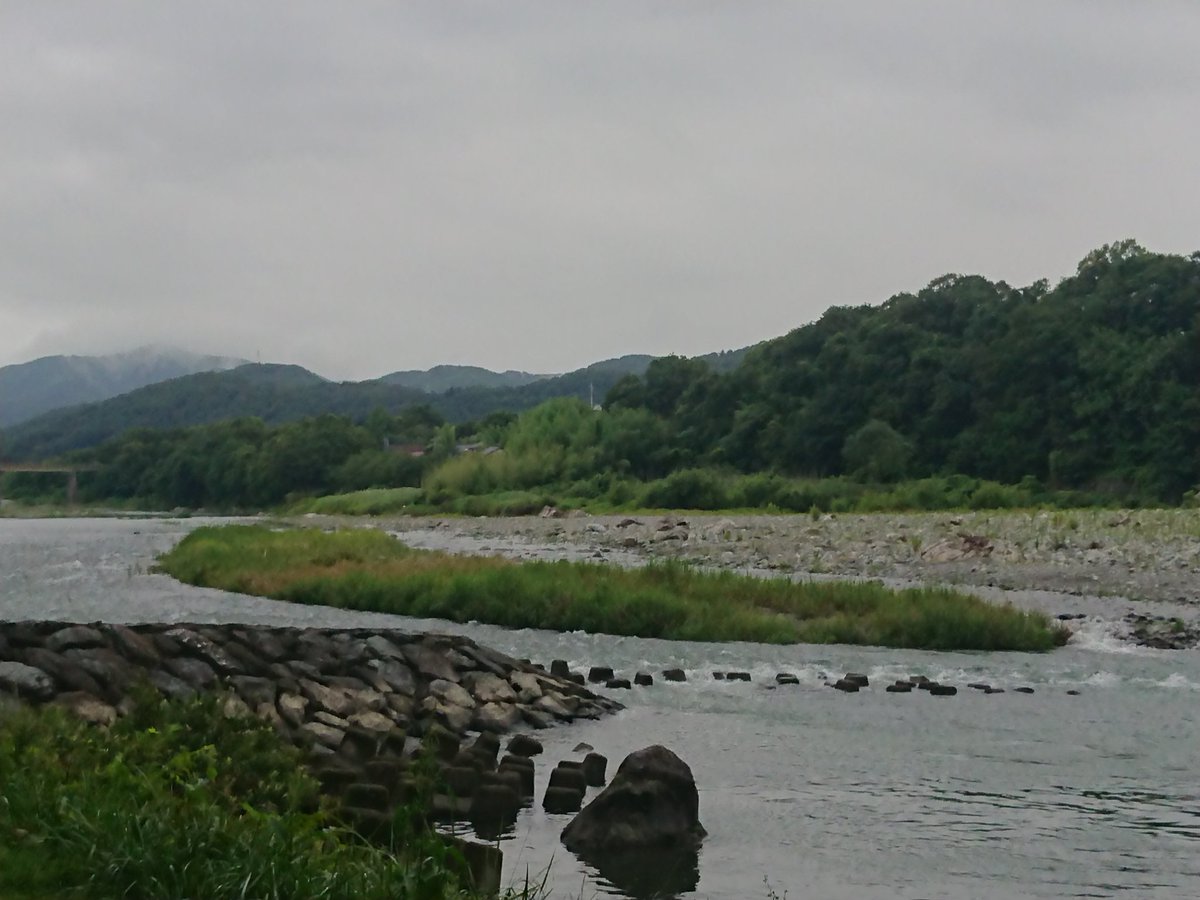 コージ على تويتر 今朝の荒川玉淀 ダム放水32トンで鮎釣りは厳しいです 埼玉中央漁協 寄居
