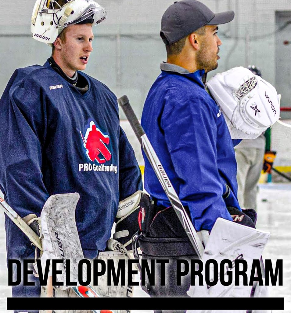 PRO Goaltending tweet media