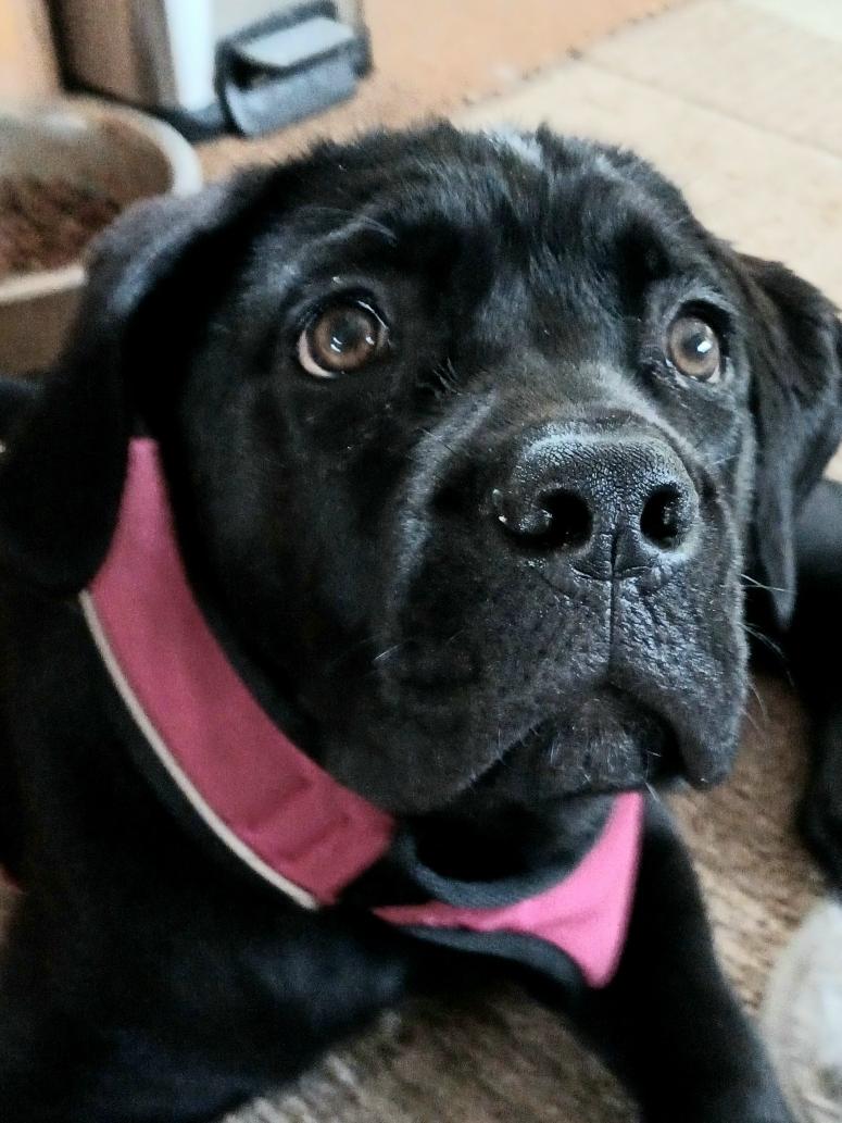 Xena, my baby girl is growing so fast!