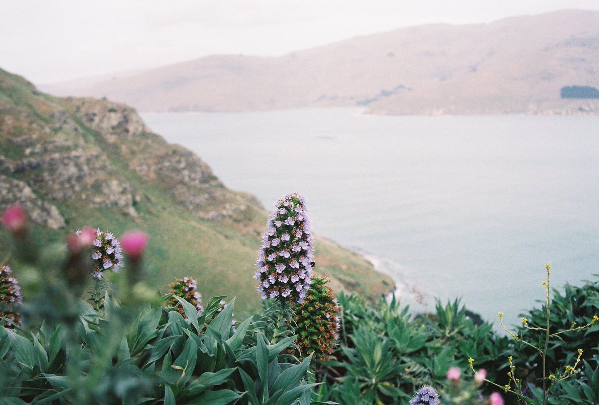 Dean Harvey tweet media