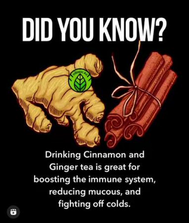inamorata_xx's tweet photo. #WitchTip: Drinking cinnamon and ginger tea is great for boosting the immune system, reducing mucous and fighting off colds! #SupportYourLocalFarmersMarket!
#WitchWednesday https://t.co/frC5suT8gS