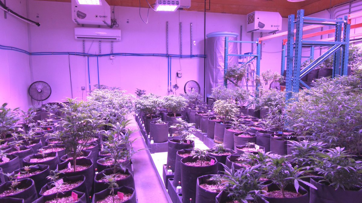 Sarah Fischer Sfischerkten Twitter