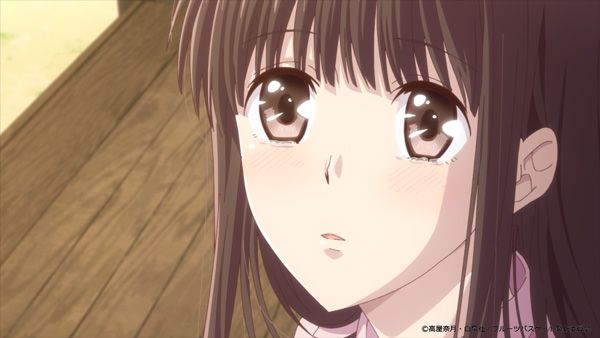 Crunchyroll on X: NEWS: 2019 Fruits Basket Anime Fills in Two More Transformative Roles ✨ More: / X