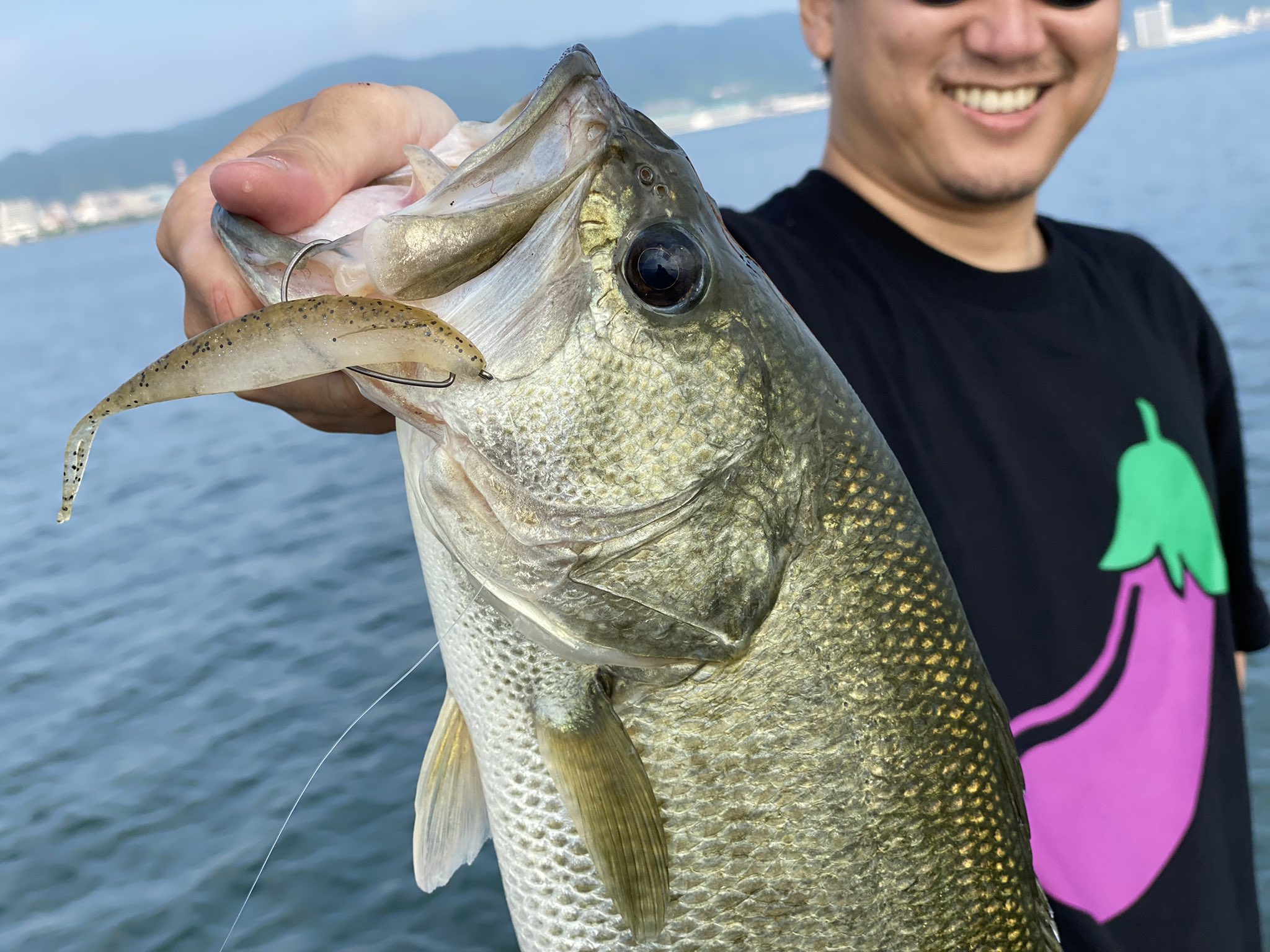 なすび 琵琶湖釣りガイドyoutuber 現在琵琶湖南湖 コレがアツイ 昨日見つけた釣り方ですが 4 5年前に もっこり先生から伝授いただいた技です 令和バージョン サカマタ5インチ なすび なすびガイドサービス なすびtv 琵琶湖 琵琶湖釣り T