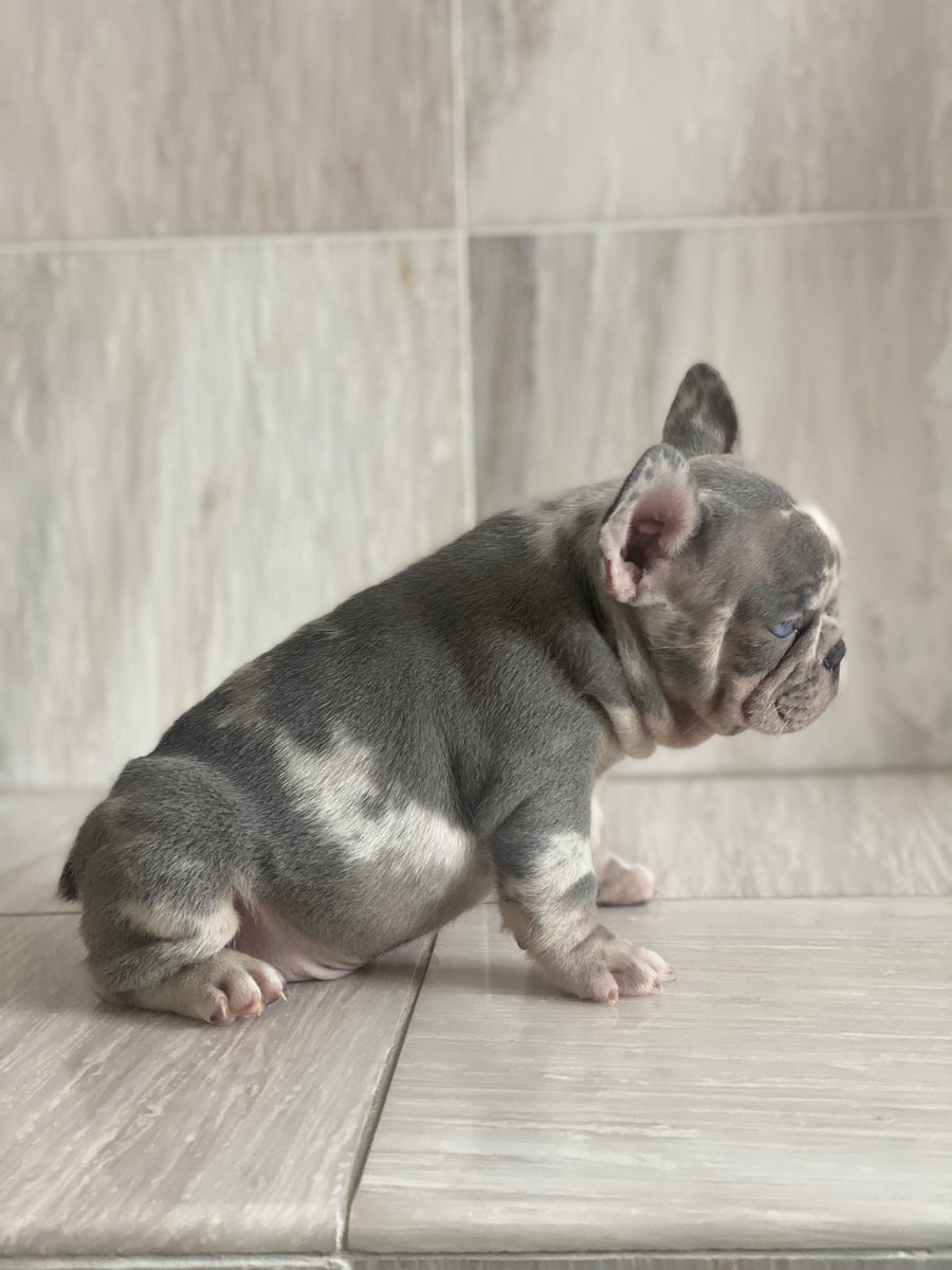 PkL🛸 (@anthonyaraujooo) on Twitter photo 