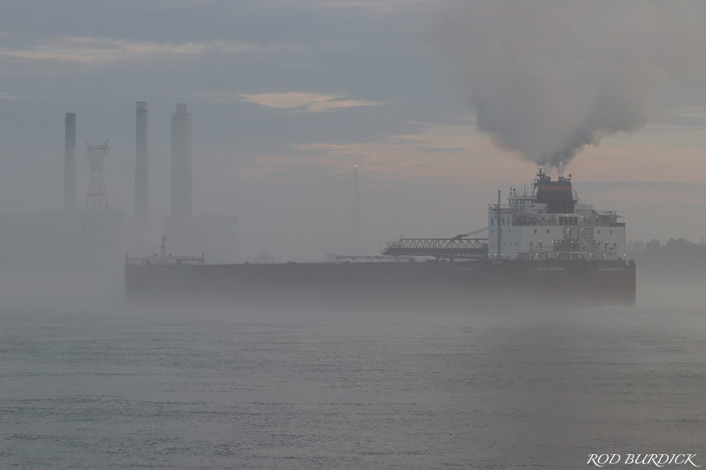 RodBurdick's tweet photo. Fog at sunrise (June 29, 2021)
#interlakeSSco #paulrtregurtha #stclairriver #boatnerd #fog #sunrise #interlakesteamshipcompany #steam #steamtrail #greatlakesshipping https://t.co/Xdq7Au5fqP