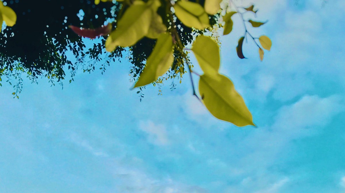 Selagi kita telah memulai, maka tugas kita adalah terus berusaha. Perkara berjuang &amp; bertahan memang tak mudah. Tapi, untuk kembali mengulang &amp; memulai rasanya mungkin lebih sulit. Apa yang dipilih &amp; diperjuangkan, teruslah mengusahakan. Sebab, boleh jadi kamu akan segera sampai.