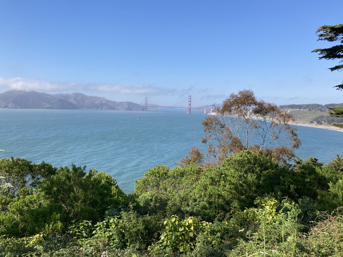 SteveKronerSF's tweet photo. Played well on the front. Playing poorly on the back. Get to the 17th tee at #Lincoln Park and … who cares about those 16 holes? #DoesNotGetOld #PoorMansPebble #CannotBeatTheView https://t.co/XoiRdlevTY