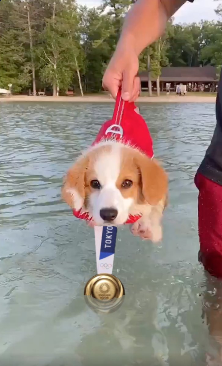 darth™ tweet media