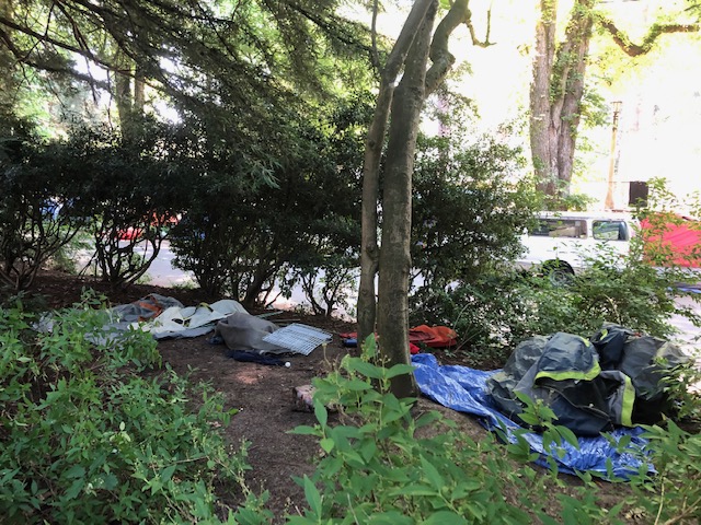 Commissioner in charge of Parks 
<a href="/CommRubio/">Commissioner Carmen Rubio</a>
Commissioner in charge of Streets and sidewalks 
<a href="/JoAnnPDX/">Commissioner Jo Ann Hardesty</a>
<a href="/DanRyanPDX/">Commissioner Dan Ryan</a>
#Portland #Portlandoregon #pdx #PDX #ParksAndRec #Publicspaces #publicparks #outdoor #outdoors #Outdoorspaces #cityviews #Oregon #visitPDX #visitpdx #visitportland