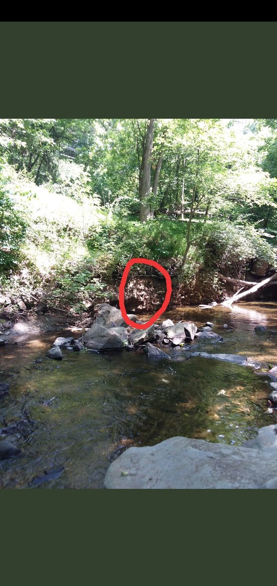 _badrick's tweet image. Saw this quite upset and scared looking spirit face almost straight away from pic 2 @Spirit2Connect.

@TNBadrick @JasonJe57425084 
@StaceyBuzzActor @kellysangelo 
@Ghostsofthe812 @Anna27voice