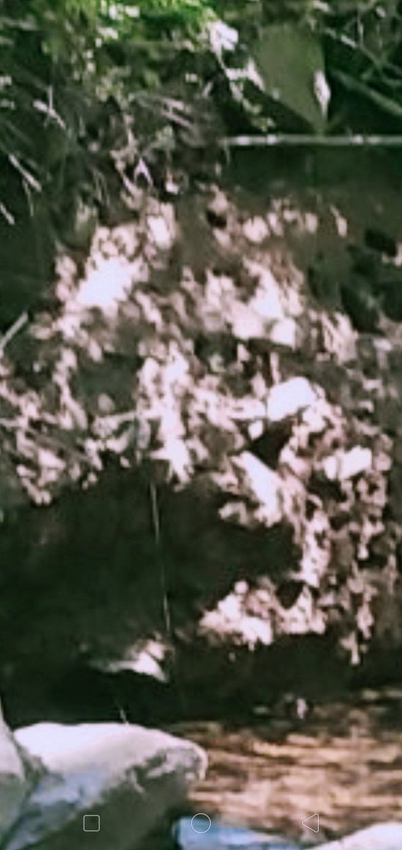 _badrick's tweet image. Saw this quite upset and scared looking spirit face almost straight away from pic 2 @Spirit2Connect.

@TNBadrick @JasonJe57425084 
@StaceyBuzzActor @kellysangelo 
@Ghostsofthe812 @Anna27voice