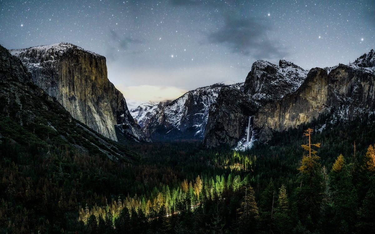 _focuspirate's tweet image. Mostly Milk.