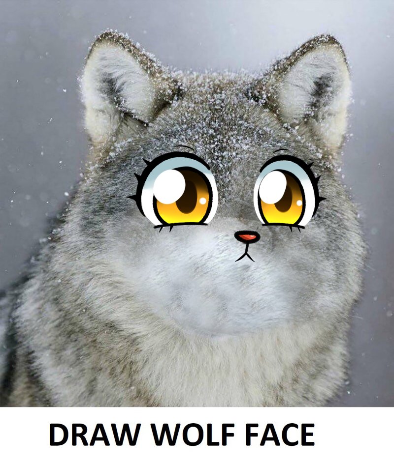 GurinnPop's tweet photo. #DrawWolfFace https://t.co/GubJq18cmV