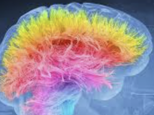 ecalixto's tweet photo. Los cerebros que encuentran razones para ocupar su tiempo son más felices.

#NeuroTuit https://t.co/VfusuTIG6O