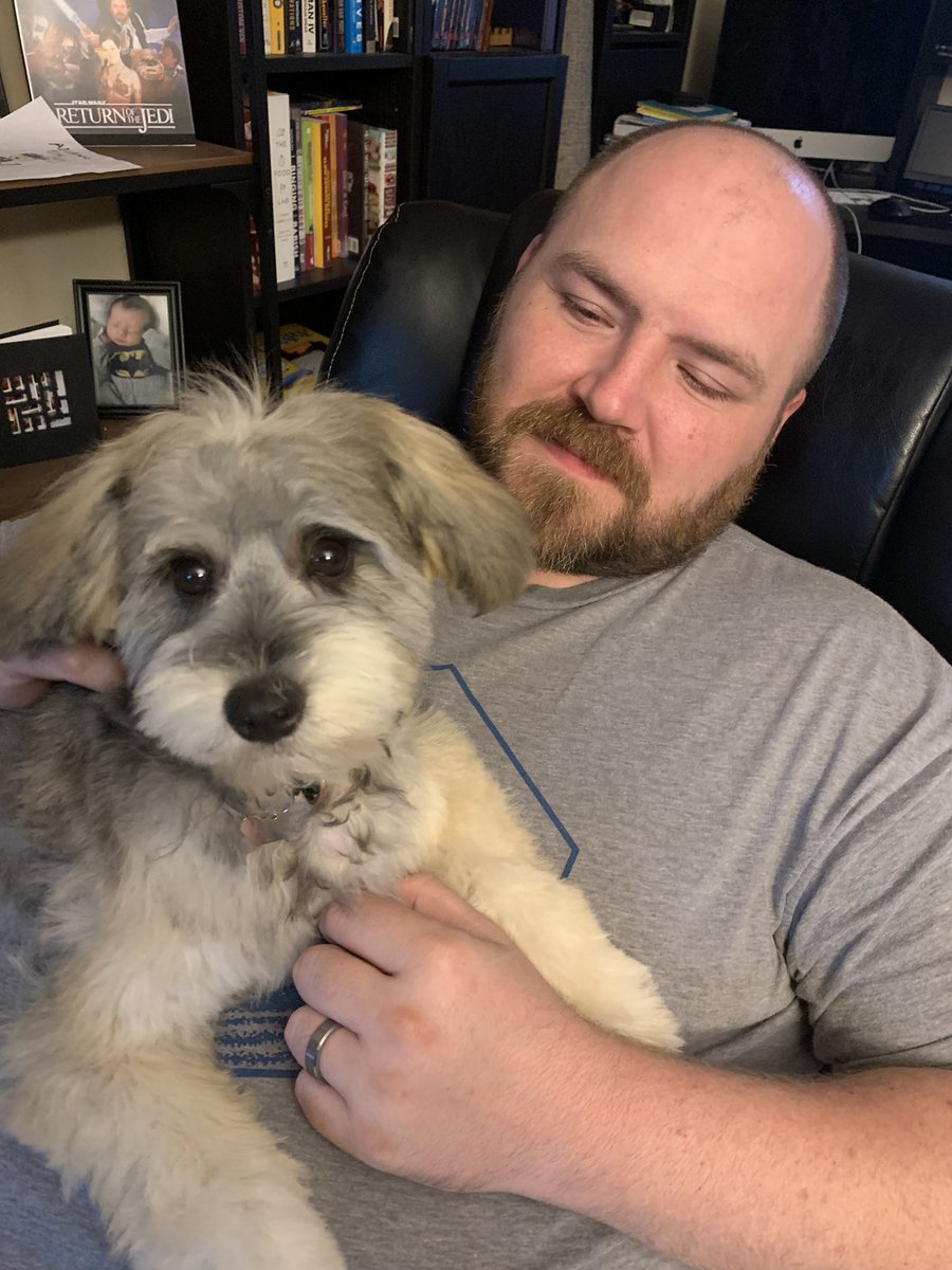 RMTTrivia's tweet image. Macaroni got a haircut today. Very handsome. Would pet again. 13/10