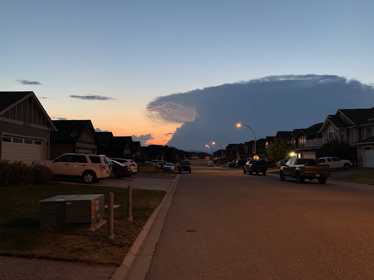 Kyle Routledge tweet media