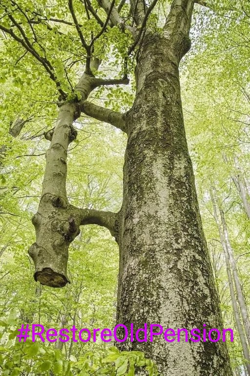 #RestoreOldPension#RestoreOldPension Just hold each other's hand, the destination is very close to us.
#RestoreOldPension
    #RestoreOldPension
Npsno