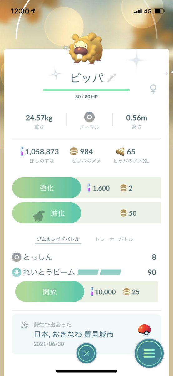 Tfmo Tphymo 沖縄産の色違いビッパ とウインディのマンホールを発見 ポケモンgo Tfmo Tphymo 沖縄産の色違いビッパ とウインディのマンホールを発見 ポケモンgo