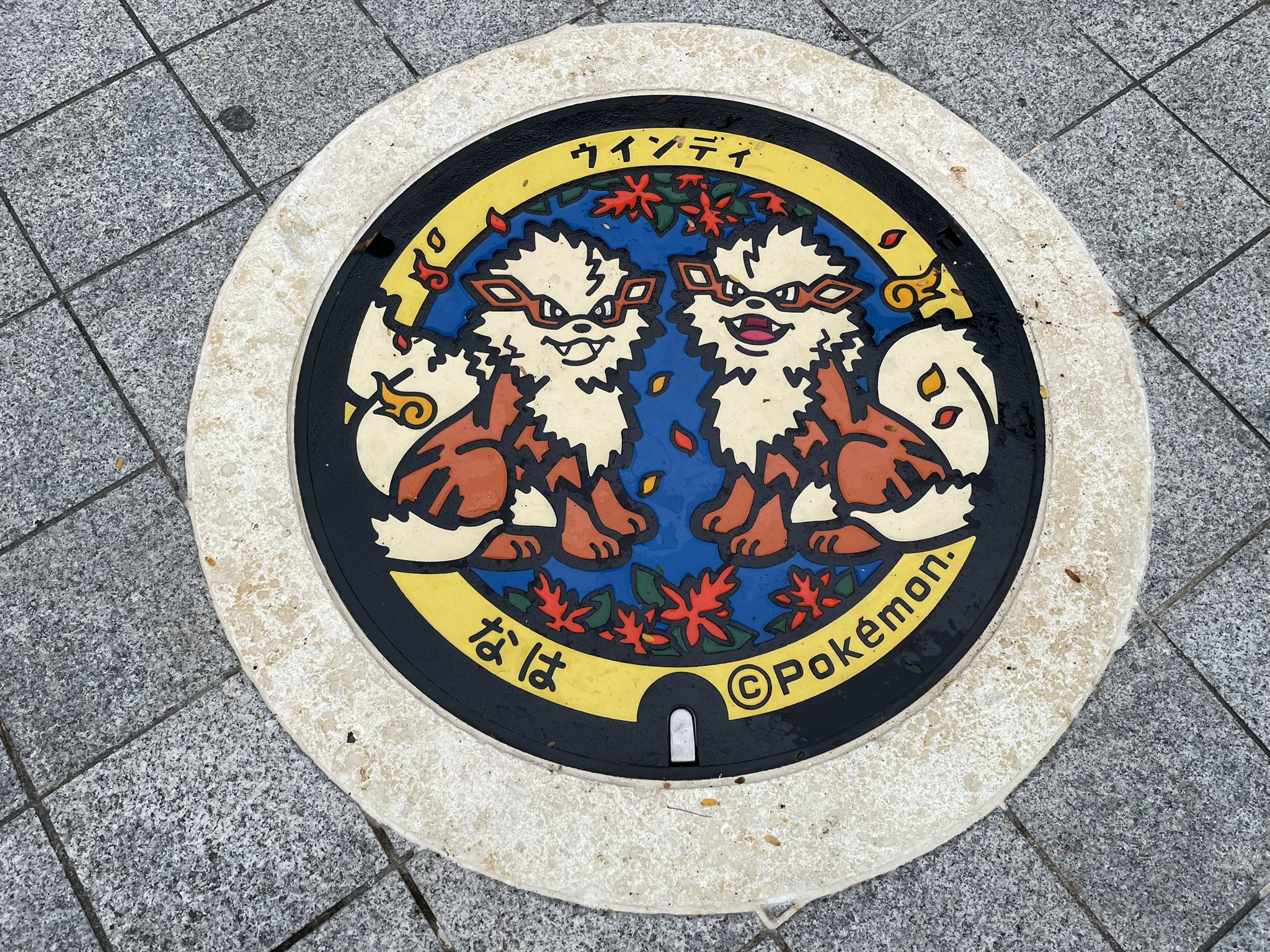 Tfmo Tphymo 沖縄産の色違いビッパ とウインディのマンホールを発見 ポケモンgo T Co Lhjyhhnuo9 Twitter