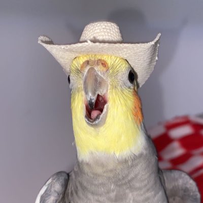#NewProfilePic
