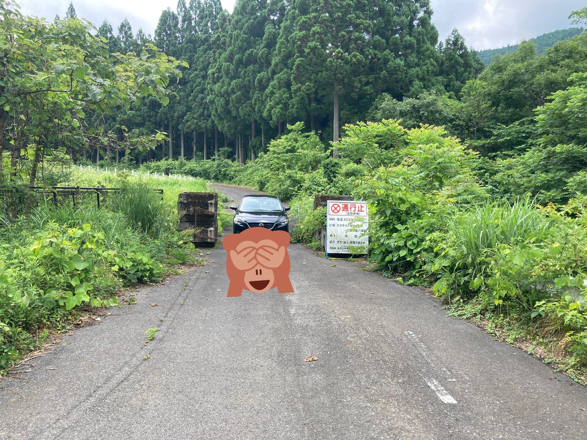 Cherrynoooo's tweet photo. ワープ https://t.co/8fzjxaTHr8