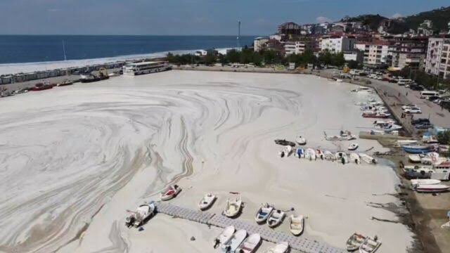 naylon poşet 25 kuruş