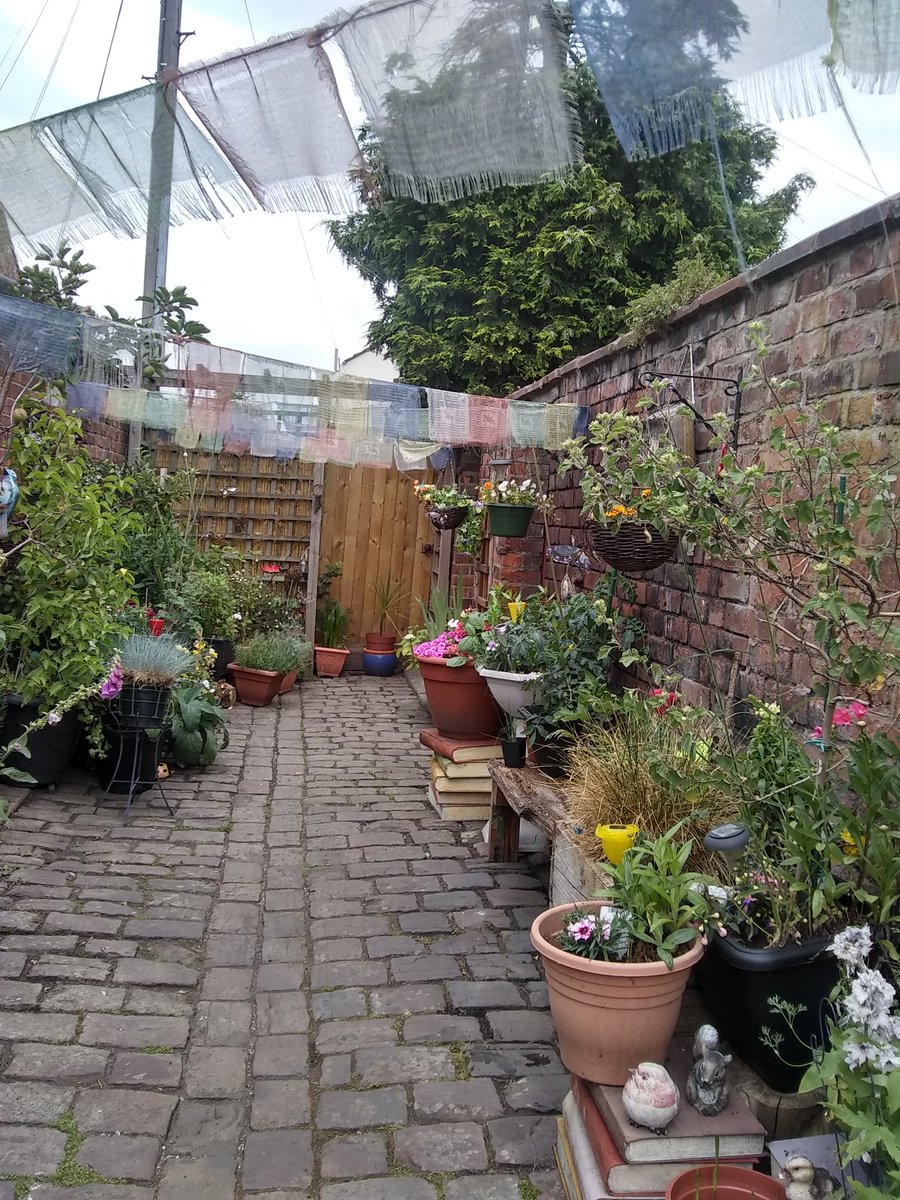 UppingIt's tweet photo. Here's some of the many treasures spotted on the expedition along Moss side's longest continuous greened alley, thanks to the hard work and creativity of the neighbours there! https://t.co/IoVlAye6M2