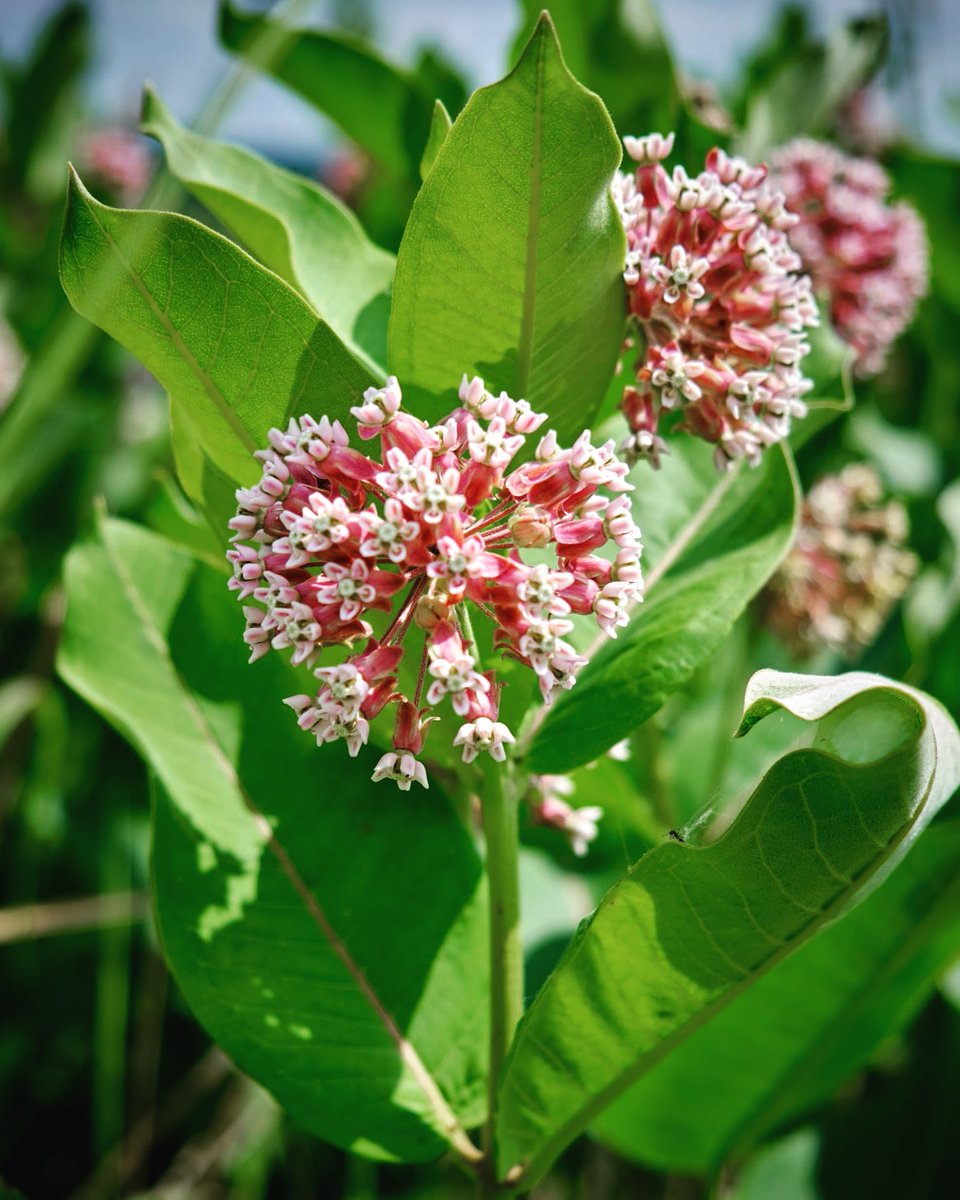 Lehigh Gap Nature Center