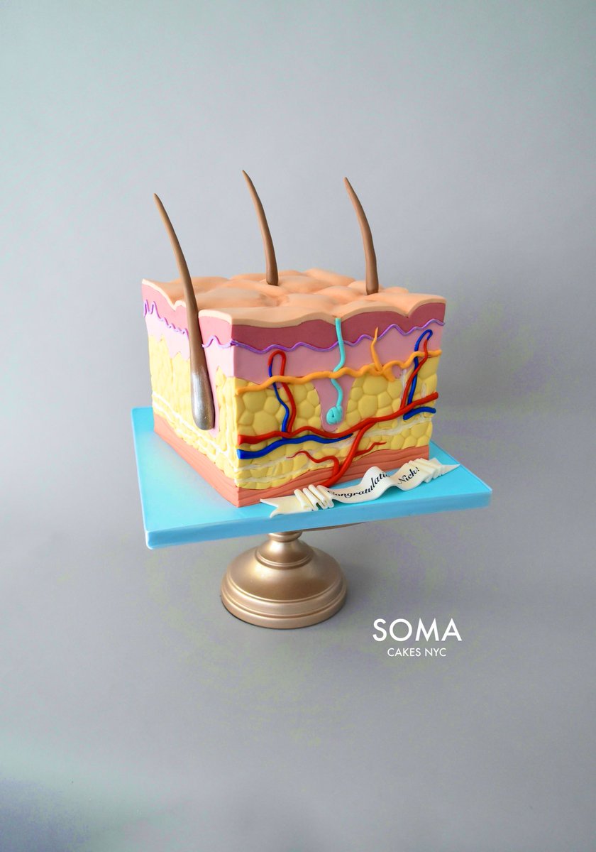 LikeButterEnt's tweet photo. Skin Cell のケーキは、皮膚科医になった彼氏への彼からのプレゼント。
#skincell #skin #medical #medicalcake #cake #customcakes #customcakesnyc
#celldiagram #manhattan #Manhattan #NYC #nyc https://t.co/Swa8t0WcJu