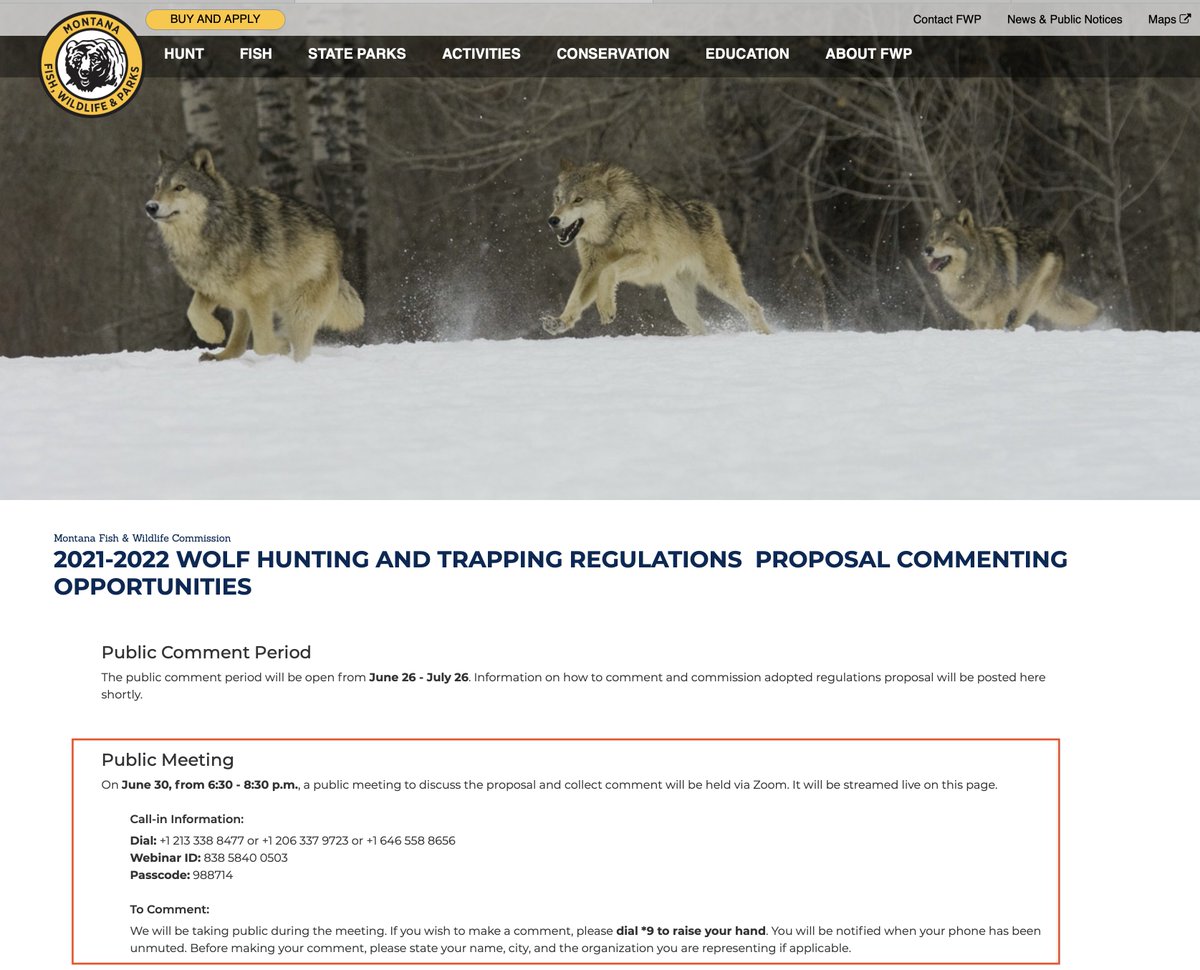 Time to make a comment