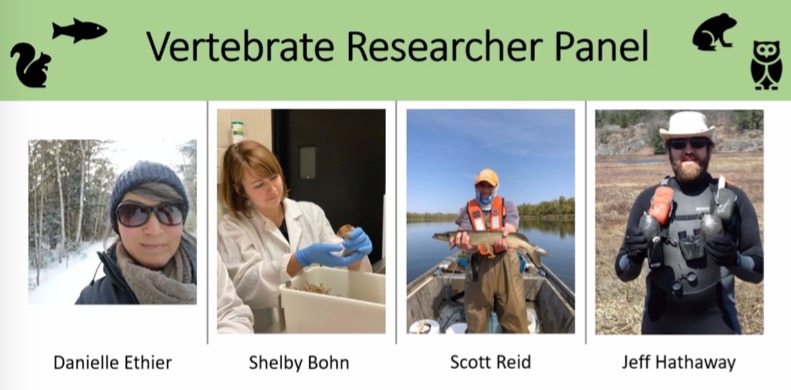 Newman_lab's tweet photo. #Biodiversity in nature reflected by diversity in lived experience: An insightful panel of biologists shared their insights &amp; career paths w/ the Field Ecology class (@BIOL4410). Thanks to Shelby Bohn, Danielle Ethier, Scott Reid &amp; Jeff Hathaway! #SciComm https://t.co/OAp0ecTAMp