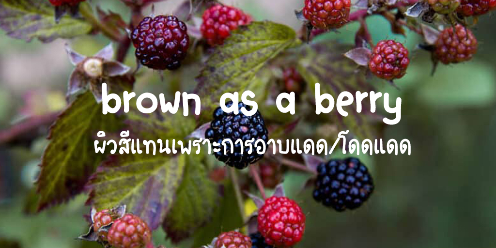 AEC_English's tweet photo. สำนวนภาษาอังกฤษ ของผลไม้ตระกูล 𝗯𝗲𝗿𝗿𝘆 🫐🍒
กด Fav เอาไว้เลย เจอเมื่อไหร่ไม่มีงง! https://t.co/1o95lizZfP