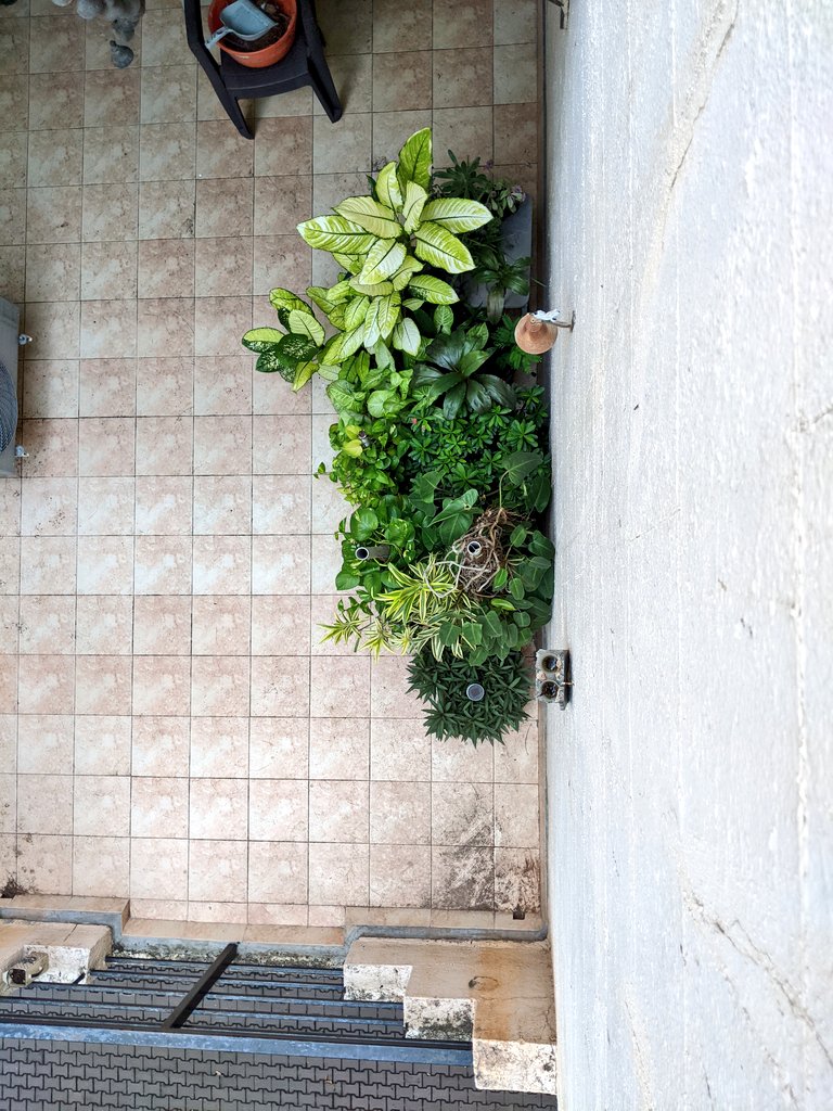 knamrata23's tweet photo. This apartment has such a crazy assortment of plants! I'm in love ❤️
#TeamPixel #PlantObsession https://t.co/wWWnjWqDX0