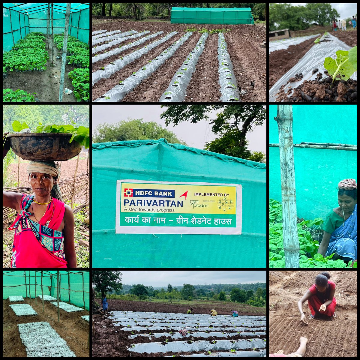 preetam_05's tweet photo. Ensuring good quality vegetable seedlings at door step of women farmers in Darbha (Bastar, Chhattisgarh)@HDFCBankCSR @ChhattisgarhCMO @BastarDistrict @PRADAN_India https://t.co/Y3YNnf9Y3H