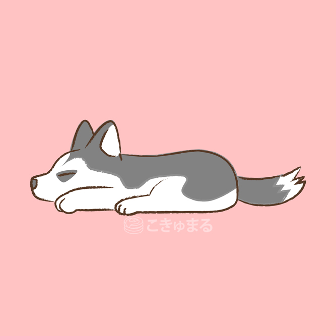 こきゅまる 疲れてワニのようになってしまっているハスキーのイラスト イラスト シベリアンハスキー 犬好き 犬好きさんと繋がりたい いぬいらすと イラレ Illustrator T Co Gqacqcv9hi Twitter