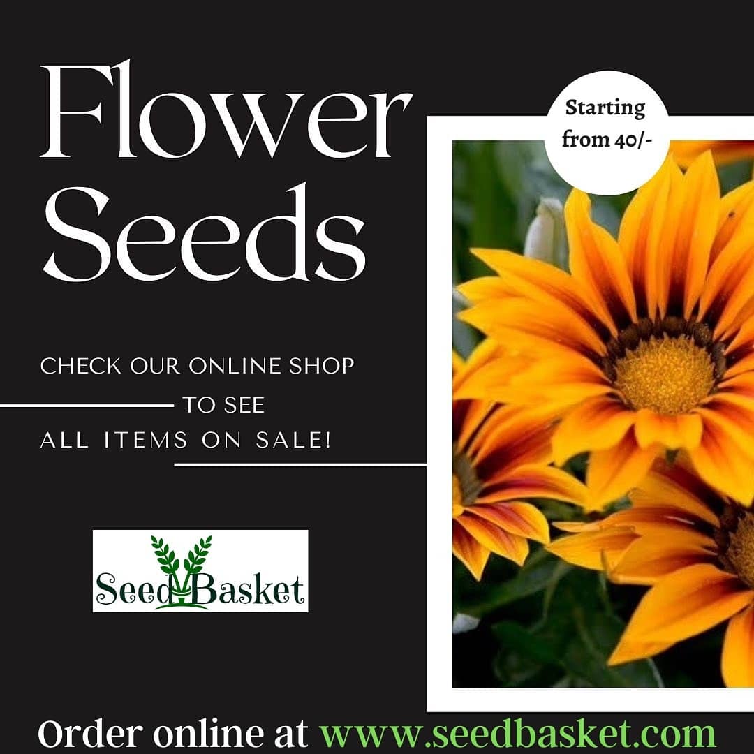 seedbasket's tweet photo. #flowerseeds #fruitsseeds #vegetableseeds #gardenkit's #Organicmanure #NPK #herbseeds #cowdungmannure #flowerseeds #gardeningseeds #kitchengardeningseeds #fruitsseeds #seeds 
#sundaymotivation #sundaypost #highqualityseeds #bestseeds #garden 
#grow #growing #hyderabad #india https://t.co/3eJHIIzmuG