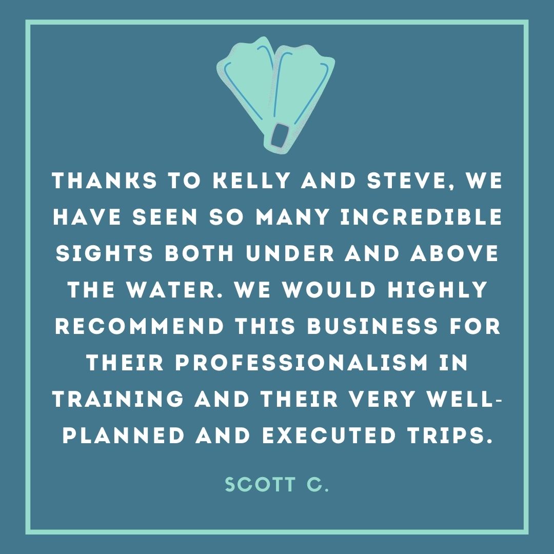 phoenixscuba tweet media