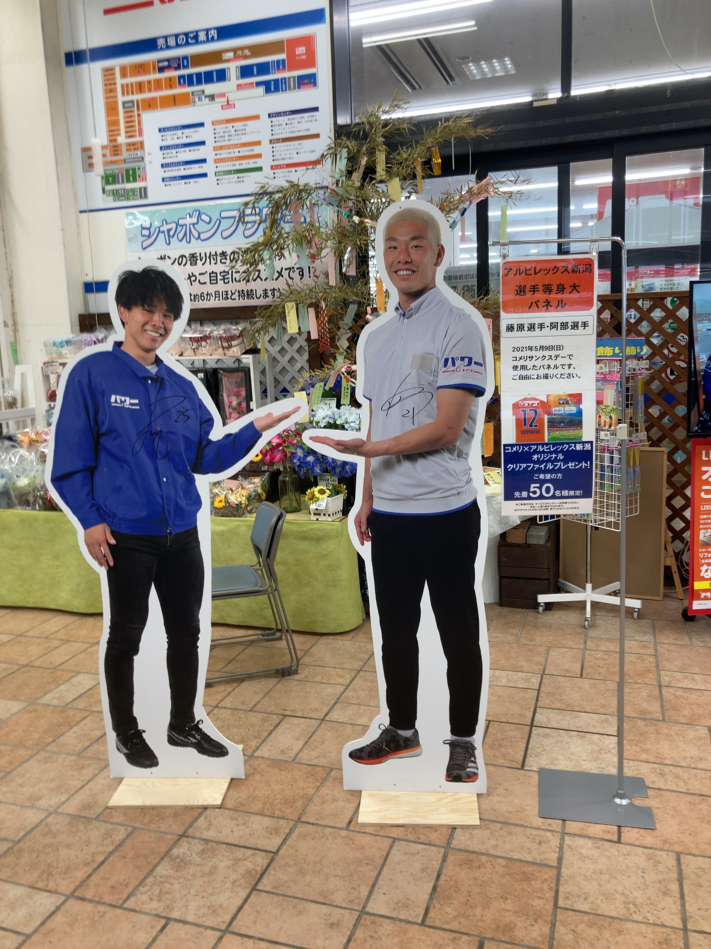 アルビレックス新潟 あの4選手がお出迎え コメリサンクスデー で 登場した選手等身大パネルが 各店舗に掲出中 コメリハードアンドグリーン黒埼店 コメリパワー河渡店 7 31まで掲出 月ごとに店舗が変わるので あなたの街の コメリ にも選手