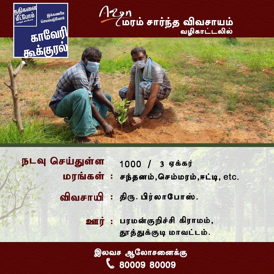 IshaBased's tweet photo. காவேரி கூக்குரல் பயணத்தில் இன்றைய விவசாயி

#தூத்துக்குடி மாவட்டத்தைச் சேர்ந்த #திரு பிர்லாபோஸ் அவர்கள் வருவாய் தரக்கூடிய மரங்களை நடவு செய்துள்ளார்.

ஆலோசனைக்கு
📞80009 80009.

#CauveryCalling ||
#IshaTreeBasedAgriculture ||
#காவேரி_கூக்குரல் || 
#ஈஷா_மரம்_சார்ந்த_விவசாயம் || https://t.co/8ZmB8opIYf