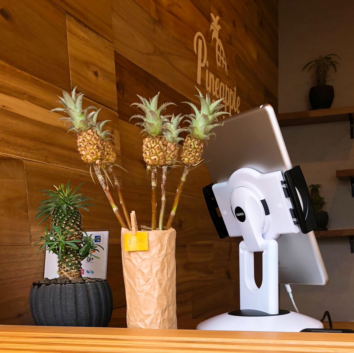 パイナップルコーン Twitter Search