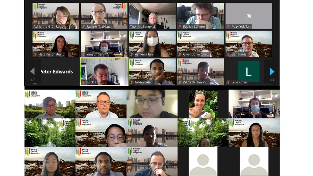 Dan Friess tweet media