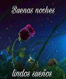 Cuenta que te desea buenos días y buenas noches (@BnosDiass) / Twitter Cuenta que te desea buenos días y buenas noches (@BnosDiass) / Twitter