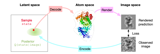 Kevin K. Yang 楊凱筌 tweet media