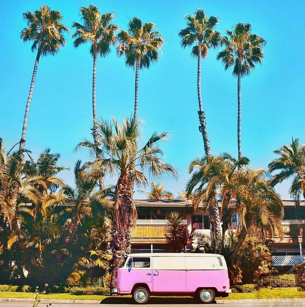 Fishbone Kitchen tweet media