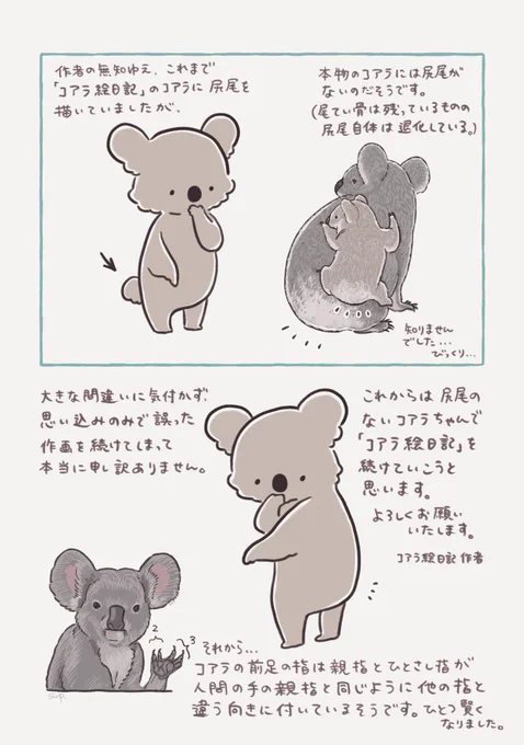 コアラのしっぽ 